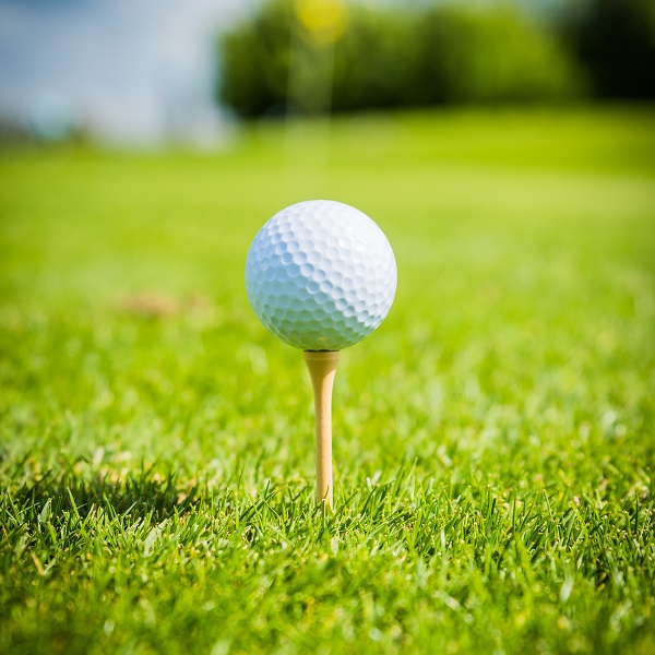 FMR 36th Annual Golf Outing
